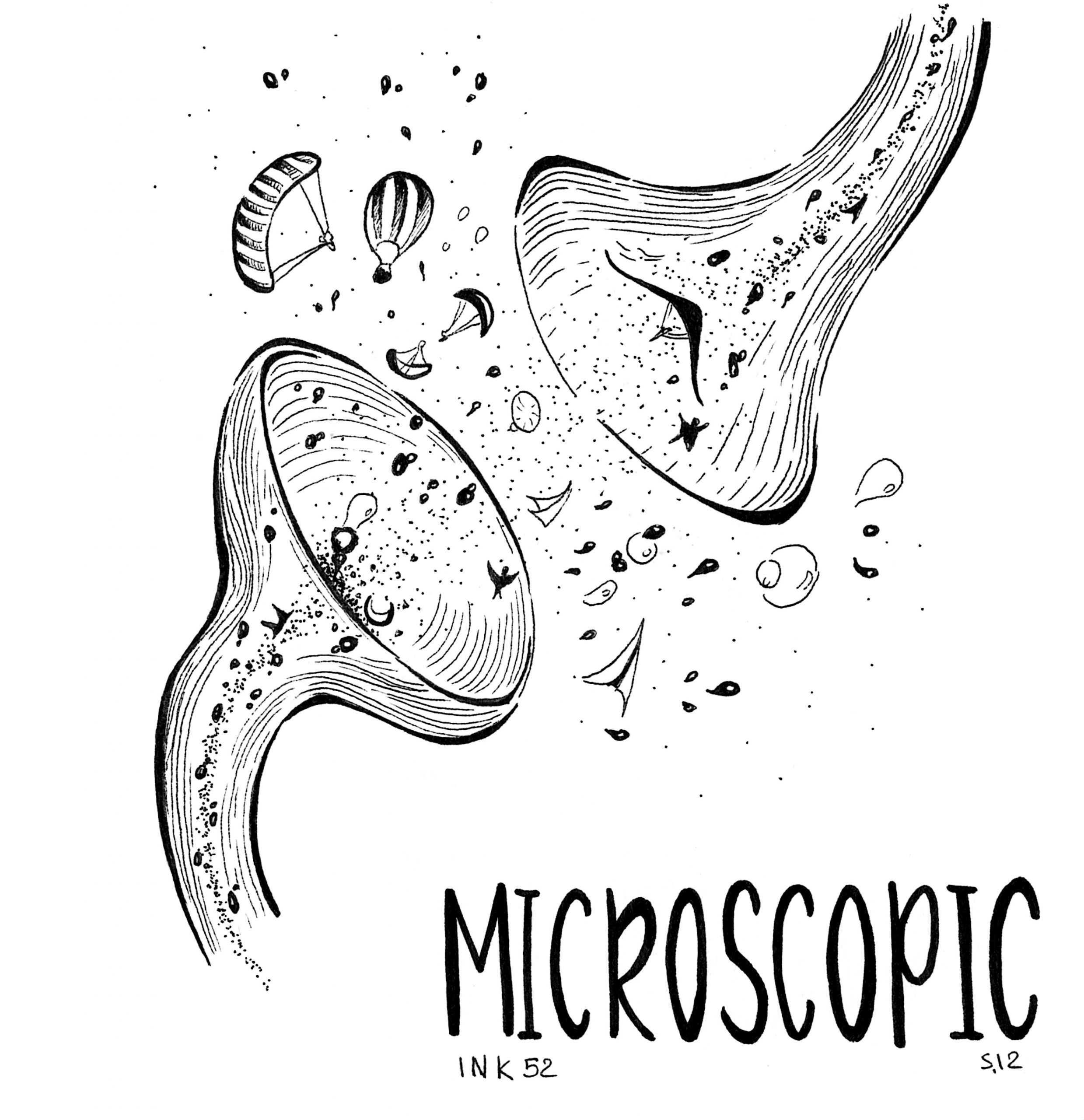 S.12 MICROSCOPIC