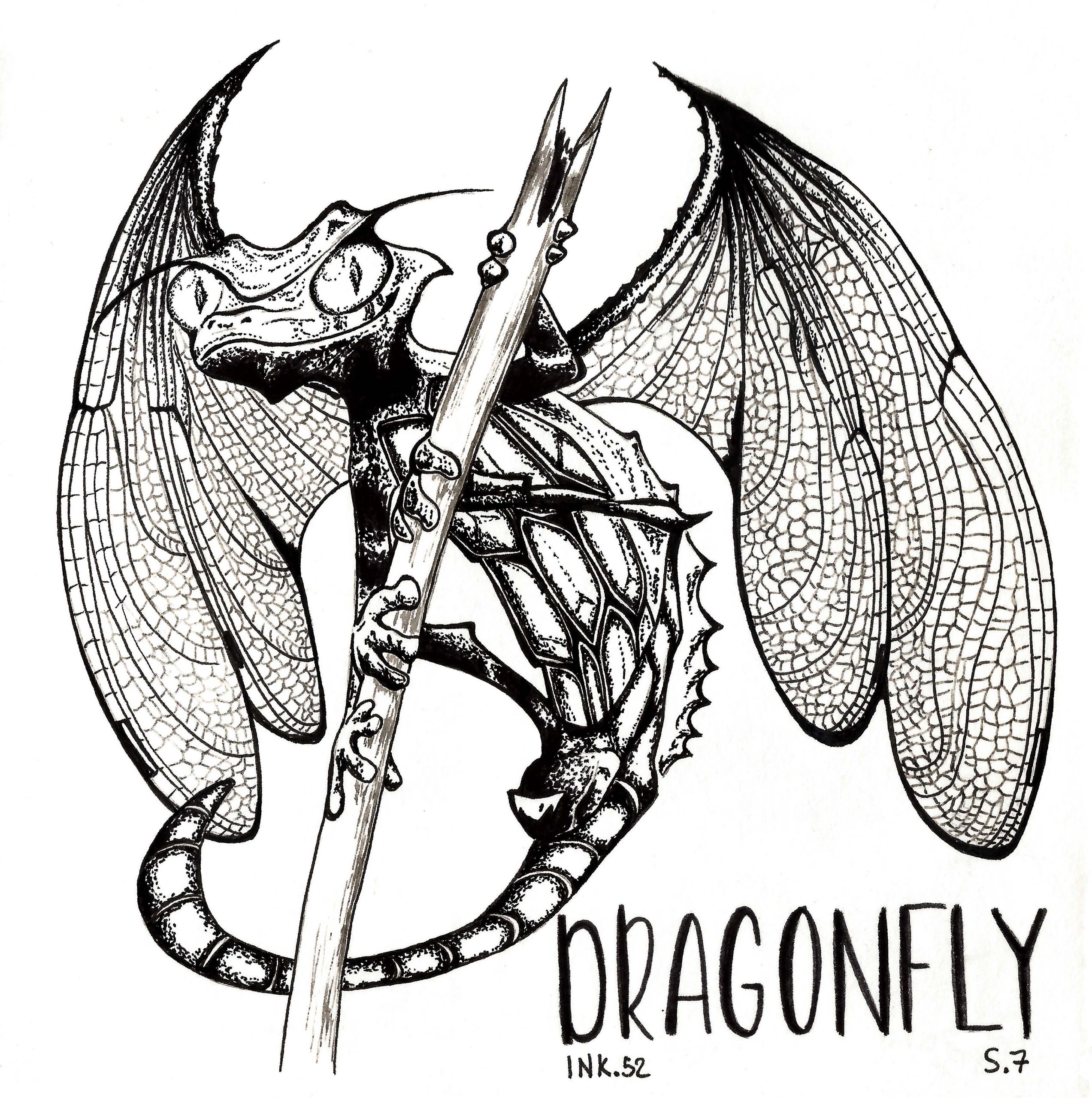 S.7 DRAGONFLY
